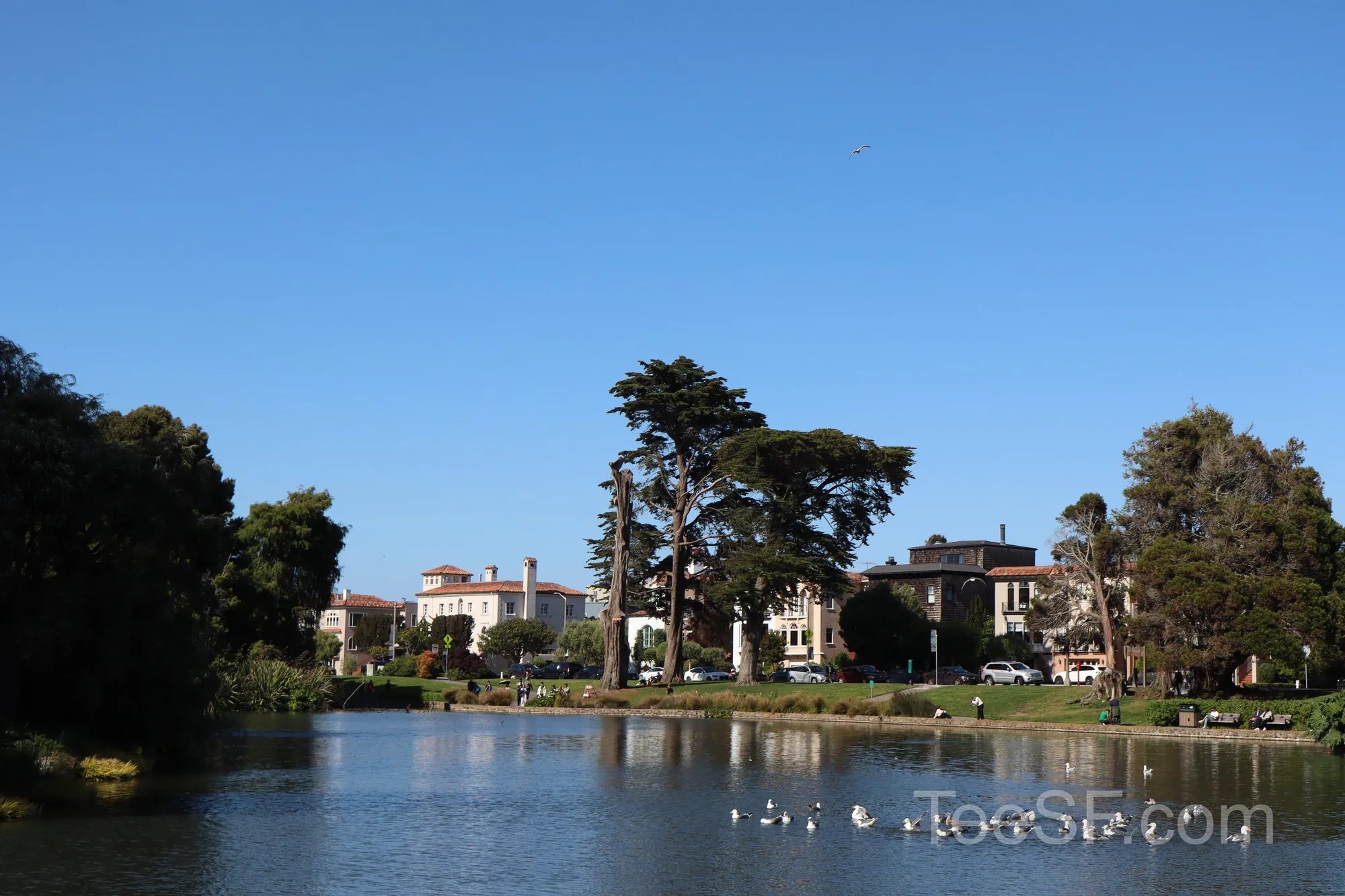 palace Lagoon Homes during a Stripe Sessions 2026 visit in San Francisco.